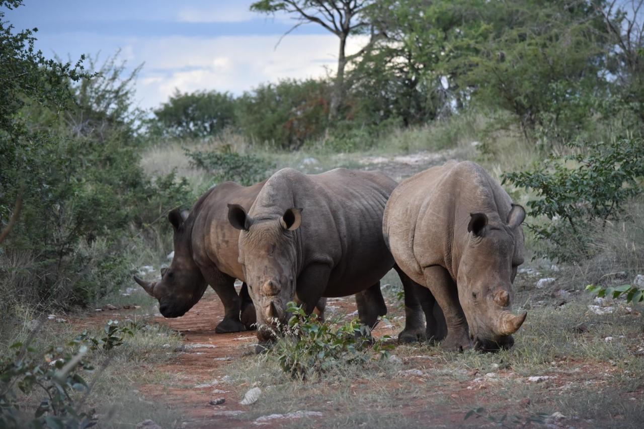 Kifaru Luxury Lodge Outjo Bagian luar foto