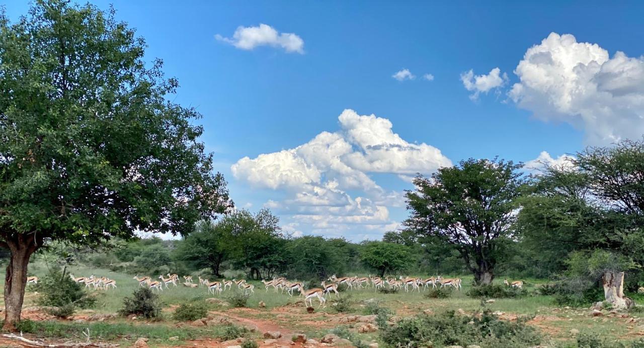 Kifaru Luxury Lodge Outjo Bagian luar foto