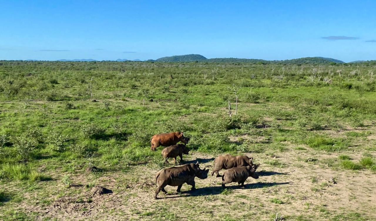 Kifaru Luxury Lodge Outjo Bagian luar foto