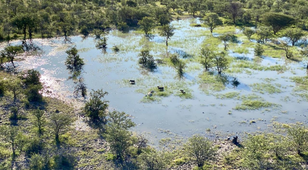Kifaru Luxury Lodge Outjo Bagian luar foto