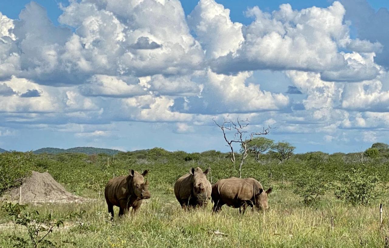 Kifaru Luxury Lodge Outjo Bagian luar foto